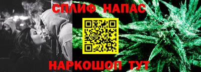 ешки Камышлов