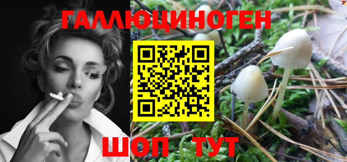 Галлюциногенные грибы Magic Shrooms Краснокаменск