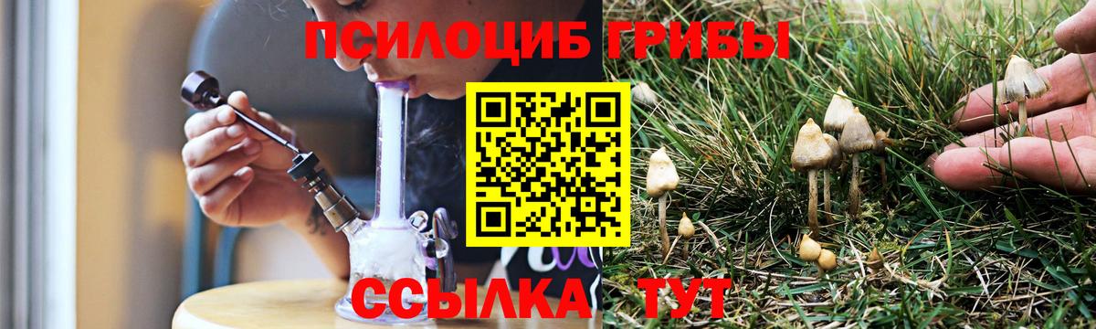Псилоцибиновые грибы Psilocybine cubensis  Вход с VPN  Краснокаменск 